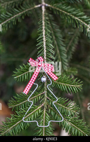 Weihnachtsbaum Form auf echten Kiefer. Weihnachtsbaum miniatur Form auf. Stockfoto