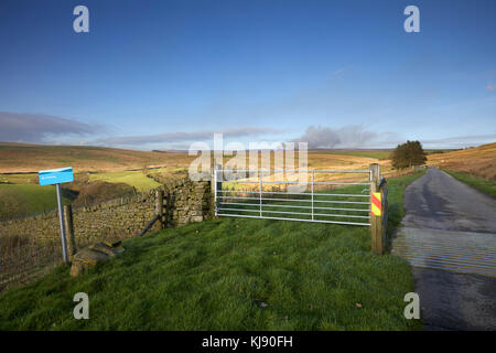 Heather brennen. Blick nach Norden in Richtung Westen nach Backstone Kante auf der Spur Führen weg von der B6265 zu Grimwith Behälter. North Yorks Yorkshire Dales Stockfoto