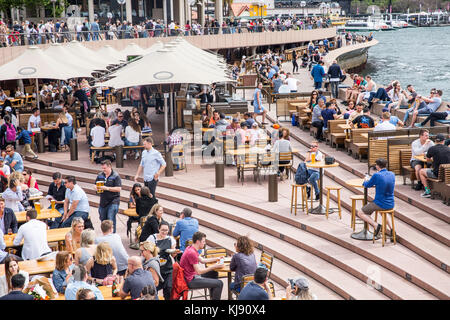 Menschen mit Freunden einen Drink an der Sydney Opera Bar, Circular Quay, Sydney, Australien Stockfoto