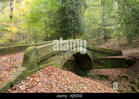 Sheffield, Großbritannien - 28 Okt: packesel Brücke in einem Teppich der gefallenen Blätter im Herbst am 28.Oktober 2016 Glen Howe Park bedeckt, Whancliffe Seite Stockfoto