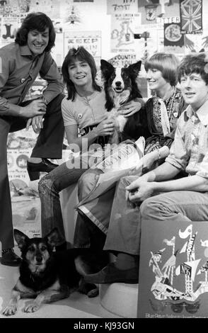 Der Popsänger David Cassidy tritt im BBC TV-Fernsehsender „Blue Peter“ zusammen mit den Moderatoren (l-r) Peter Purves, Lesley Judd und John Noakes auf. Stockfoto