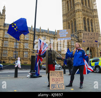 Westminster. London. UK 22 Nov 2017 - Anti Brexit Demonstranten zeigt, außerhalb des Parlaments zu protestieren, als der Schatzkanzler Philip Hammond legt seine Herbst Budget für das Unterhaus. Credit: Dinendra Haria/Alamy leben Nachrichten Stockfoto