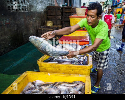 Yangon, Region Yangon, Myanmar. November 2017. Ein Mann sortiert Fisch auf dem San Pya Fischmarkt. Der San Pya Fish Market ist einer der größten Fischmärkte in Yangon. Es ist ein 24-Stunden-Markt, aber am frühen Morgen ist es am meisten los. Der größte Teil der auf dem Markt befindlichen Fische wird aus Wildfischen gefangen, aber die Aquakultur in Myanmar wächst und mehr Süßwasserfische in Zuchtform verkauft werden als in der Vergangenheit. Quelle: Jack Kurtz/ZUMA Wire/Alamy Live News Stockfoto