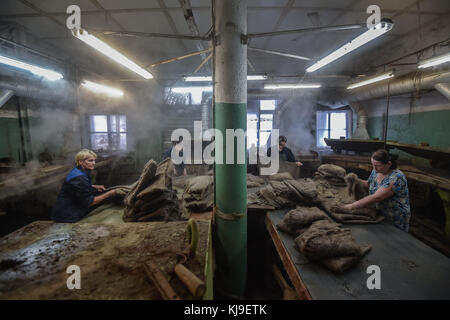 6. Dezember 2016 – Syktywkar, Komi, Russland – Fabrikarbeiter sahen, wie sie die Wolle für die Schuhproduktion vorbereiteten. Die Herstellung traditioneller russischer Schuhe aus Wolle in der Wollschuhfabrik Vylgort. Die Wollschuhfabrik Vylgort produziert seit über 75 Jahren Schuhe. (Bild: © Sergey Parshukov/SOPA via ZUMA Wire) Stockfoto