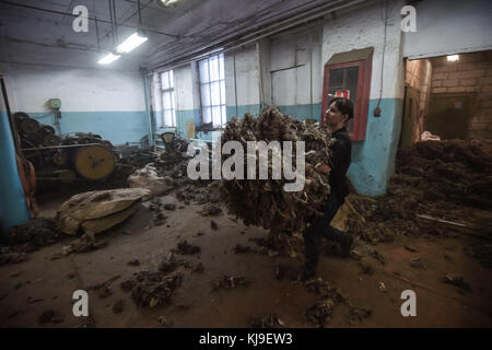 6. Dezember 2016 – Syktywkar, Komi, Russland – der Arbeiter sah, wie er die Wolle von einem Departement in ein anderes transportierte. Die Herstellung traditioneller russischer Schuhe aus Wolle in der Wollschuhfabrik Vylgort. Die Wollschuhfabrik Vylgort produziert seit über 75 Jahren Schuhe. (Bild: © Sergey Parshukov/SOPA via ZUMA Wire) Stockfoto