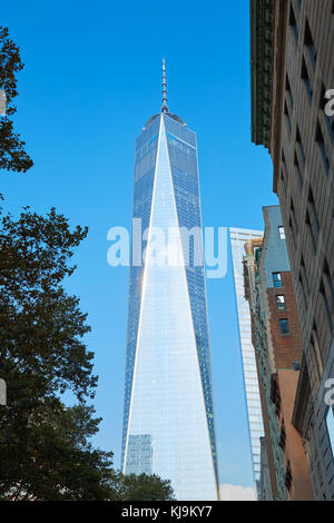 Das One World Trade Center Wolkenkratzer mit Gebäuden und Baum, klaren, blauen Himmel an einem sonnigen Tag in New York Stockfoto