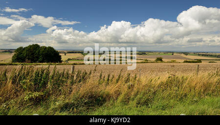 Panoramablick über Wiltshire von Hackpen Hill, West suchen. Stockfoto