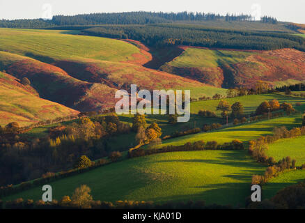 Am frühen Morgen Licht auf die Long Mynd, von Graben, Hill, Shropshire, England, UK gesehen. Stockfoto