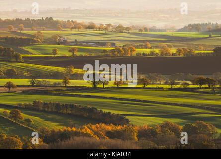 Am frühen Morgen Licht auf die Landschaft in der nähe von Cleobury Norden, von Braun Clee, Shropshire, England, UK gesehen. Stockfoto