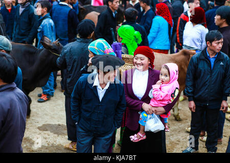 Dong Van, Ha Giang, Vietnam, 18. November 2017: hmong, gebirgigen Dong Van, Ha Giang, Kuhhandel, Markt Stockfoto