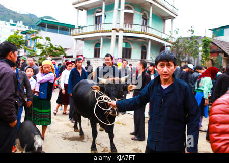 Dong Van, Ha Giang, Vietnam, 18. November 2017: hmong, gebirgigen Dong Van, Ha Giang, Kuhhandel, Markt Stockfoto