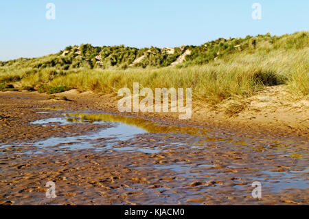 Ein Blick auf das Gezeitensalz-Sumpfgebiet auf der Landseite der Sanddünen an der Nord-Norfolk-Küste bei Holkham, Norfolk, England, Vereinigtes Königreich. Stockfoto