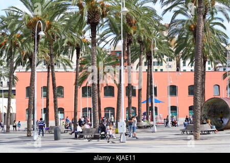 Palmen in Genua, der Hafen des Mittelmeers, mit subtropischem Klima. Stockfoto