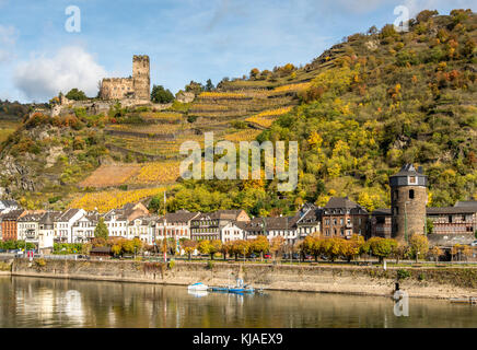 Rheintal im Herbst, Kaub Stockfoto