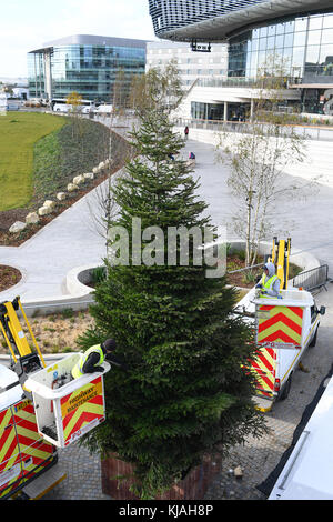 Abrichten der Weihnachtsbaum an der Southampton West Quay England. Stockfoto