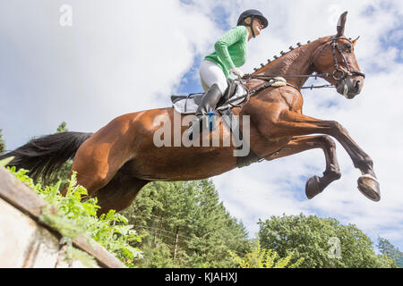 Hannoveraner Pferd. Reiter Clearing ein Hindernis bei einer Cross-country-ride, von unten gesehen. Deutschland Stockfoto