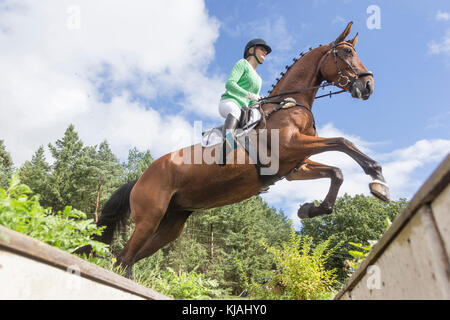 Hannoveraner Pferd. Reiter Clearing ein Hindernis bei einer Cross-country-ride, von unten gesehen. Deutschland Stockfoto