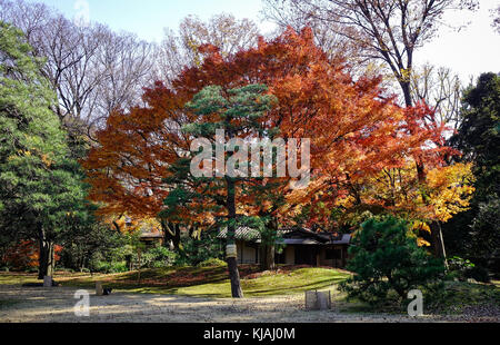 Landschaft von Rikugien Garten in Tokio, Japan. Rikugien Garten (rikugi-en) ist ein Tokyo Metropolitan Park in Bunkyo-ku. Stockfoto