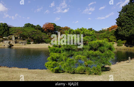 See Landschaft bei Rikugien Garten in Tokio, Japan. Rikugien Garten (rikugi-en) ist ein Tokyo Metropolitan Park in Bunkyo-ku. Stockfoto