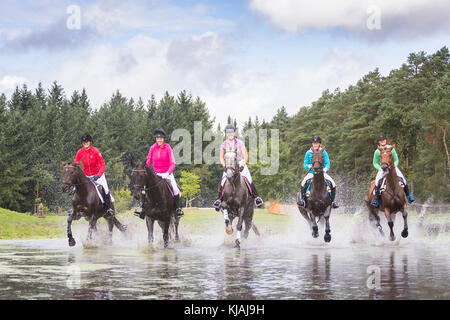 Hannoveraner Pferd. Fünf Fahrer auf Warmblut Pferde durch Wasser galoppieren. Deutschland Stockfoto