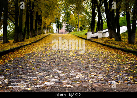 Straße mit Kopfsteinpflaster mit gelbem Laub abgedeckt Stockfoto