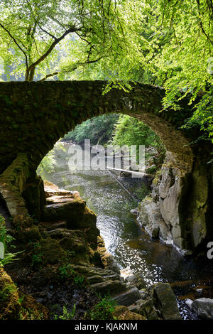 Steinerne Brücke über den Fluss Baan in der Einsiedelei in der Nähe von Crieff in Perthshire, Schottland Stockfoto