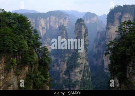 Robuste Kalksteinsäulen und Gipfeln der Zhangjiajie National Forest Park im Landschaftspark Wulingyuan gelegen Scenic Region in der Provinz Hunan in China Stockfoto