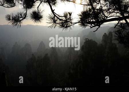 Diesigen Sonnenuntergang über schroffe Gipfel der Zhangjiajie National Forest Park und Kalksteinsäulen in der Provinz Hunan in China Stockfoto