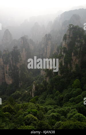 Diesigen Sonnenuntergang über schroffe Gipfel der Zhangjiajie National Forest Park und Kalksteinsäulen in der Provinz Hunan in China Stockfoto