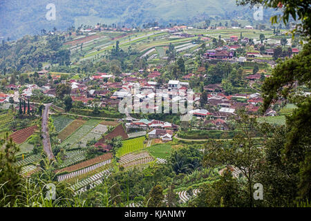 Dorf von terrassierten Zwiebel Felder an den Hängen des Berges Gunung lawu lawu / in der Nähe von Solo/Surakarta, Central Java, Indonesien Stockfoto