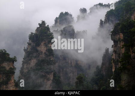 Wirbelnde Wolken über dem Gipfel des Zhangjiajie National Forest Park am Landschaftspark Wulingyuan gelegen malerischen Ort in der Provinz Hunan in China Stockfoto