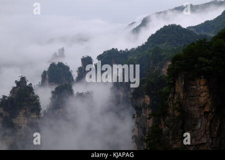 Wirbelnde Wolken über dem Gipfel des Zhangjiajie National Forest Park am Landschaftspark Wulingyuan gelegen malerischen Ort in der Provinz Hunan in China Stockfoto