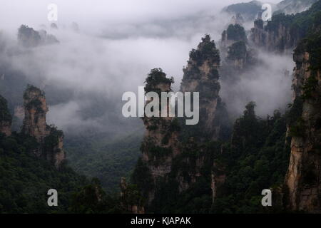 Wirbelnde Wolken über dem Gipfel des Zhangjiajie National Forest Park am Landschaftspark Wulingyuan gelegen malerischen Ort in der Provinz Hunan in China Stockfoto