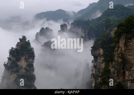 Wirbelnde Wolken über dem Gipfel des Zhangjiajie National Forest Park am Landschaftspark Wulingyuan gelegen malerischen Ort in der Provinz Hunan in China Stockfoto