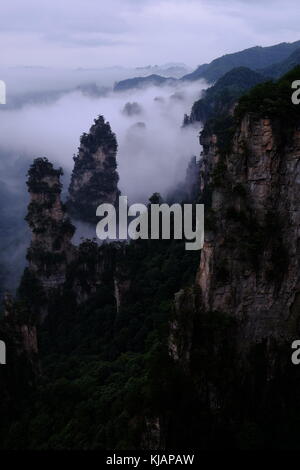 Wirbelnde Wolken über dem Gipfel des Zhangjiajie National Forest Park am Landschaftspark Wulingyuan gelegen malerischen Ort in der Provinz Hunan in China Stockfoto