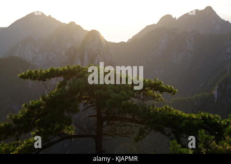 Sonnenaufgang über der zerklüfteten Bergrücken von huangshan Berg aus der Lion Peak. China, Provinz Anhui. Stockfoto