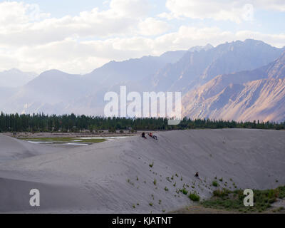 Kinder Spaß an den Sanddünen - Nubra Tal Ladakh, Indien Stockfoto