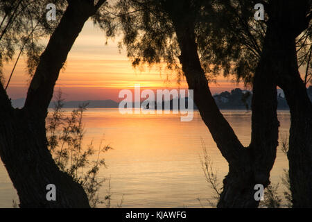 Gesehen zwischen der Tamariske (Tamarix) Bäume, die leuchtenden Farben der Morgenhimmel werden in das ruhige Meer wider, Momente vor Sonnenaufgang. Stockfoto