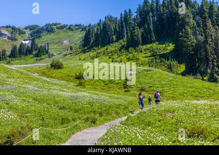 Golden Gate Trail im Paradise-Abschnitt des Mount Rainier National Park im US-Bundesstaat Washington Stockfoto