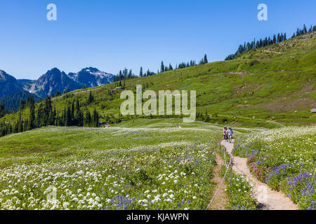 Golden Gate Trail im Paradise-Abschnitt des Mount Rainier National Park im US-Bundesstaat Washington Stockfoto