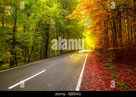 Herbst Wald Landschaft mit Strahlen der warmen Licht ausleuchten der gold Laub. Konzept der zwei Jahreszeiten in auf Fotos Stockfoto