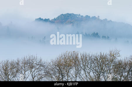 Newlands Ecke, Surrey an einem nebligen Morgen im Winter Stockfoto