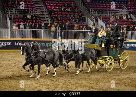 Vier schwarze Pferde auf grünen Wiesen vier in der Hand Coaching klasse Leistung an der Royal Horse Show Ausstellungsort Toronto Ricoh Coliseum Stockfoto