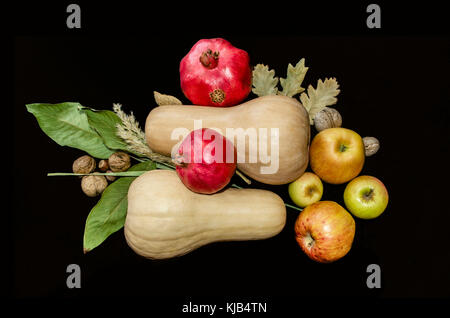 Kürbisse mit Äpfeln, und rote Granate und Muttern in der Nähe der Ruten mit einem trockenen Nussbaum Blätter auf einem schwarzen Hintergrund Stockfoto