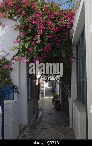 Schöne Gasse in kythnos Insel Stockfoto