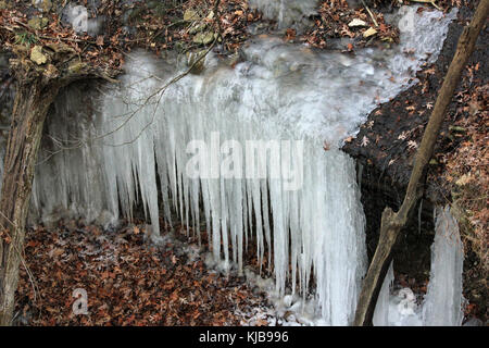 Gfp iowa Pikes Peak State Park icicle Blatt Stockfoto