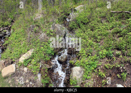 Gfp New York Adirondack Mountains Wasserfall an der Seite der Straße Stockfoto