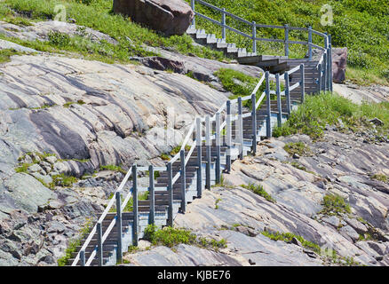 North Head Trail ein Wanderweg auf einem schmalen Pfad um den Signal Hill, St. John's, Neufundland, Kanada Stockfoto