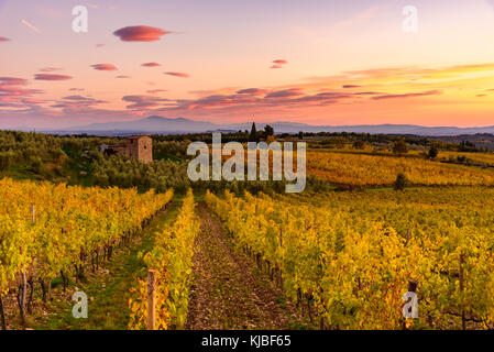 Panoramablick auf das Chianti Gebiet in der Toskana, Italien. Mit einem verlassenen Bauernhaus. Herbst Saison. Stockfoto