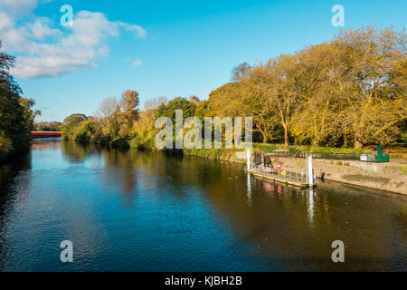 Blick auf den Fluss Taff, öffentliche Bute Park und das Wasser Bushaltestelle an die Öffentlichkeit und die Regierung das Schloss von Cardiff im Herbst. Cardiff, Wales, Großbritannien Stockfoto